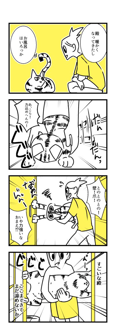 年に一、二回の猫との攻防
#わたしと猫の殿 