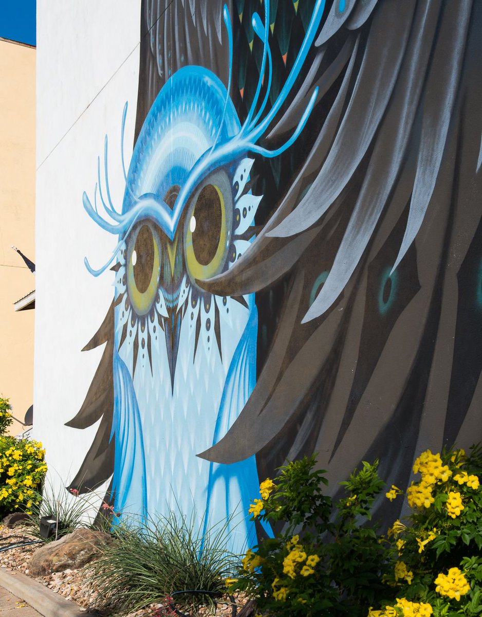 The owl mural by <a href="/jeffsotoart/">Jeff Soto</a> in downtown Brenham has become a favorite  for tourists and locals. Plan now to come to the free @texasartsmusicfestival Oct 18-20, for the painting of our next murals. 

#brenham #visitbrenham #brenhamtx #texasartsandmusicfestival