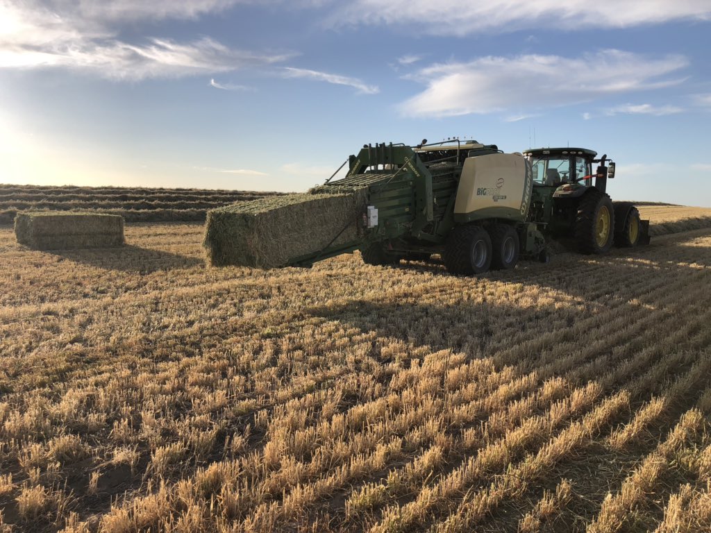AndrewThomfarms's tweet image. Finally got some barley hay bricks punched out today #hay19