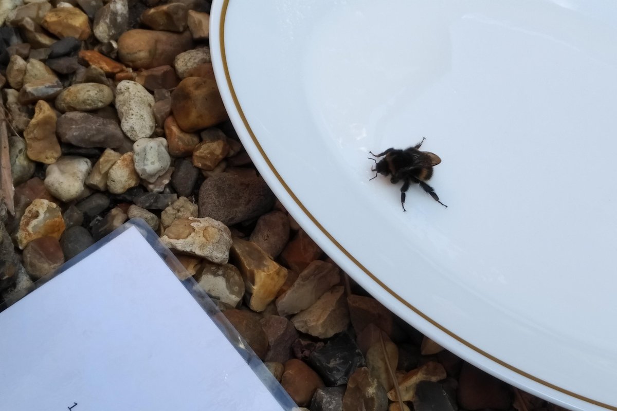 Jason L Kean tweet media