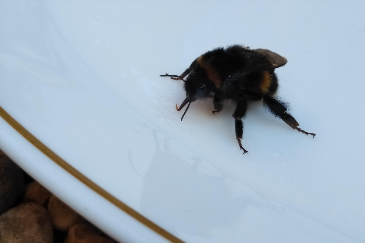 Jason L Kean tweet media