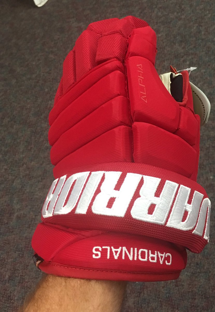krinsky_adam's tweet photo. Thanks to @WarriorHockey for the fresh new mitts for @Cardinals_MHKY...@PlattsAthletics https://t.co/2we55ThA97