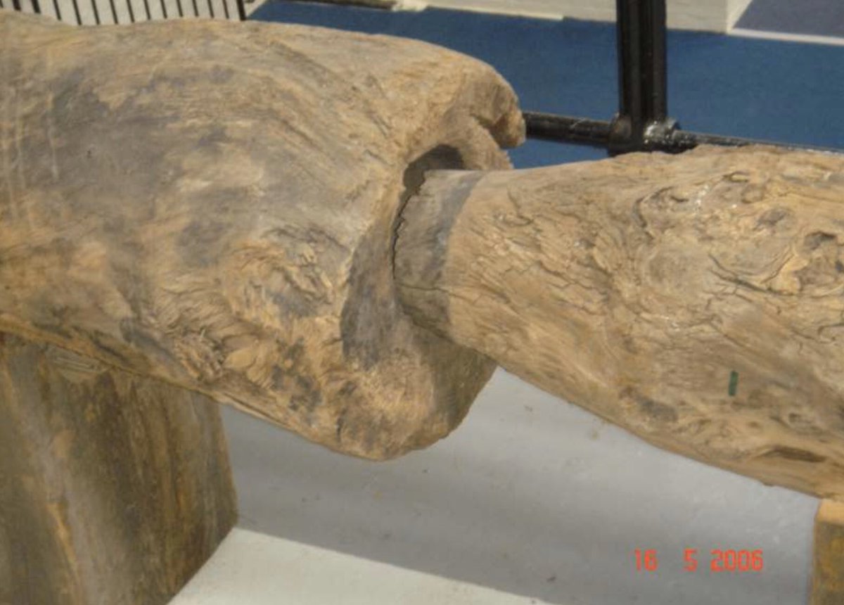 By the 13thC #water was being carried into aristocratic houses in London in pipes made by linking lengths of bored elm trunks - a utility that became more commonplace during the 16th-18thC. More via sewerhistory.org/photosgraphics… #WaterManagement #ContinuousTechnologies