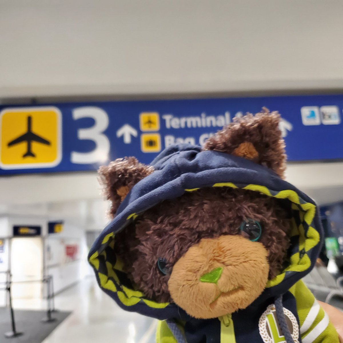 Lime does things: Travel time!