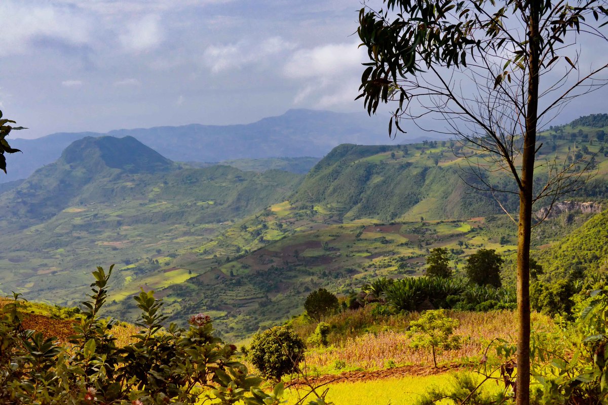 cdknetwork's tweet photo. It's 10 times more efficient to halt land degradation, than to let it degrade and then restore it afterwards - Dr Tony Knowles, @IPCC_CH Lead Author shares the findings from the Special Report on Climate Change and Land. #ACRC2019 https://t.co/hM16lrcRQh