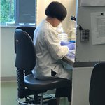 Photo by KWS Gateway Research Center (@KWS_GRC)