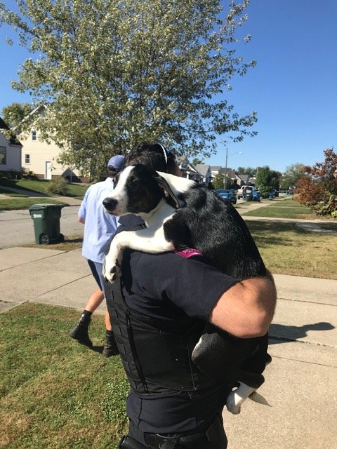 Parma Police Department tweet media