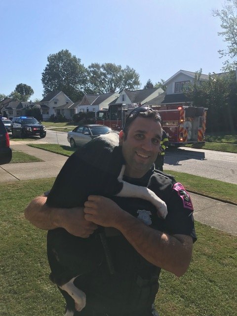 Parma Police Department tweet media