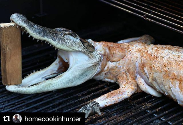 ABDistributors's tweet image. Gator!!! #Repost @homecookinhunter
・・・
Too good not to share. The epic flavor and tenderness this gator brought was unreal! 
How did we do it? We brined him in a cooler of water, salt, sugar, and a whole bottle of @reloadrub Fully Loaded and soaked h… ift.tt/35nr6YD