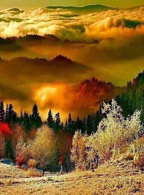 Percent Autumn ❤️❤️ https://t.co/eCII4Ebe79<a href="/tag/big"class="tags"><span>#big</span></a><a href="/tag/touch"class="tags"><span>#touch</span></a><a href="/tag/feel"class="tags"><span>#feel</span></a><a href="/tag/boobs"class="tags"><span>#boobs</span></a>