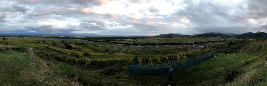 Liebherr Group Cristal Union TEREOS CAC68 😱perchés à 60m, #seneque en voyage ! on aime l’Alsace ! Demain filière viti! <a href="/NatUp_groupe/">NatUp</a> <a href="/VigneronsCoop/">La Coopération Agricole - Vignerons Coopérateurs</a> <a href="/BlateyronP/">blateyron philippe</a> <a href="/SodiaalCoop/">Sodiaal Coopérative Laitière Française</a> <a href="/euralisgroupe/">Euralis</a> <a href="/Cristal_Union/">Cristal Union</a> <a href="/CAVAC_/">Cavac</a> @CDFDeshy <a href="/Bestheim/">BESTHEIM</a> <a href="/essec/">ESSEC Business School</a>