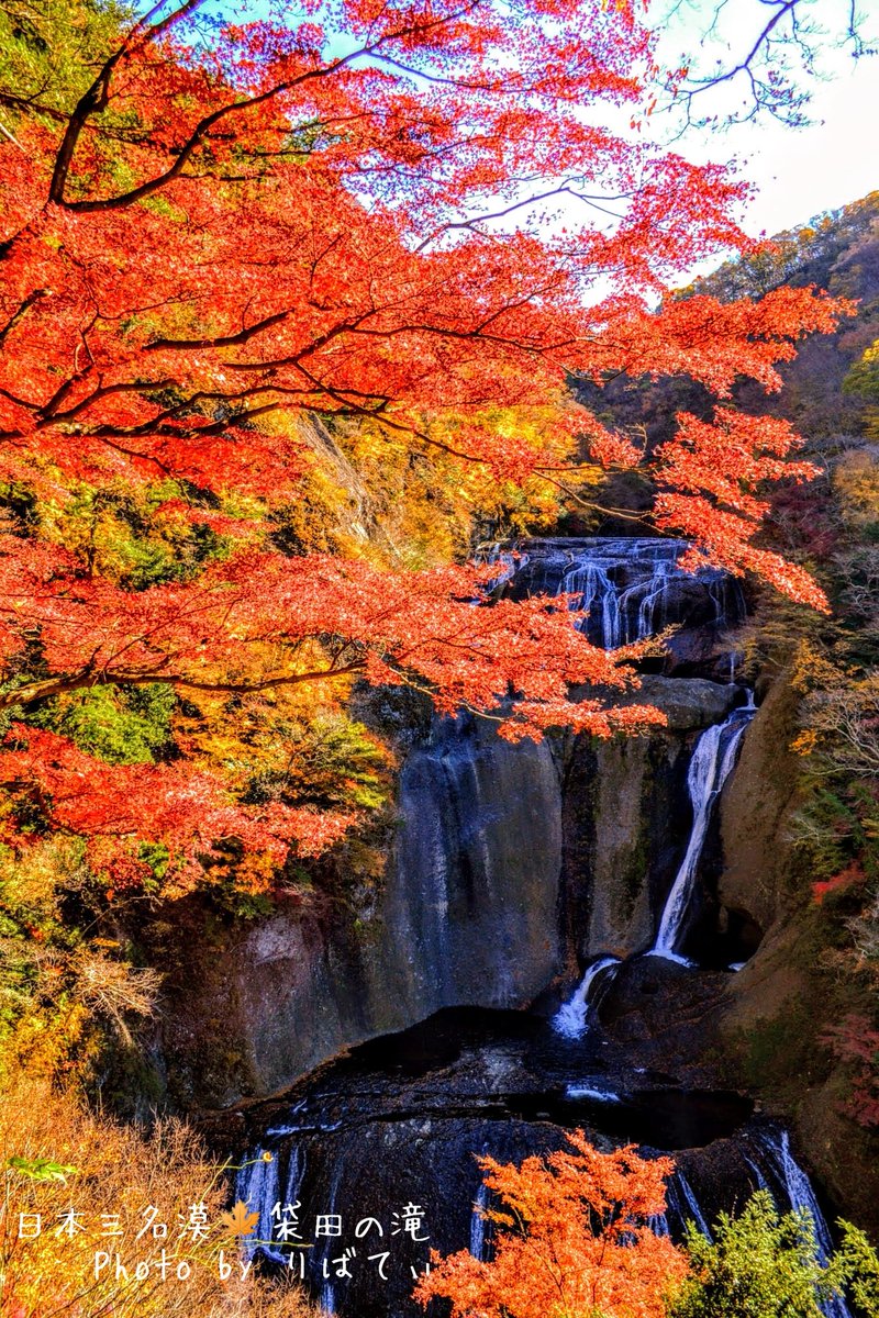 りばてぃ Auf Twitter 木曜日 おはようございます 来月になりますが 日本三名漠 袋田の滝 茨城県 がありますので 来月の予定を立てなければですねぇ 秋の紅葉 待ち遠しいです では 今日も宜しくです 秋の紅葉 秋 風景写真 日本三名漠 袋田の滝