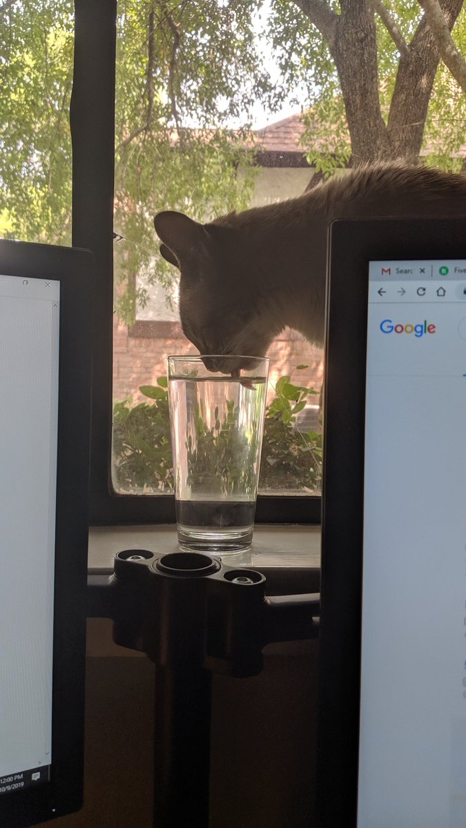 CosmicJane1's tweet photo. Thirst break #catsworking #remotecatworker #cats #catsdrinking #catsofinstagram #catsoftwitter #lovecats #catsrule https://t.co/Nh0fZZkSNv