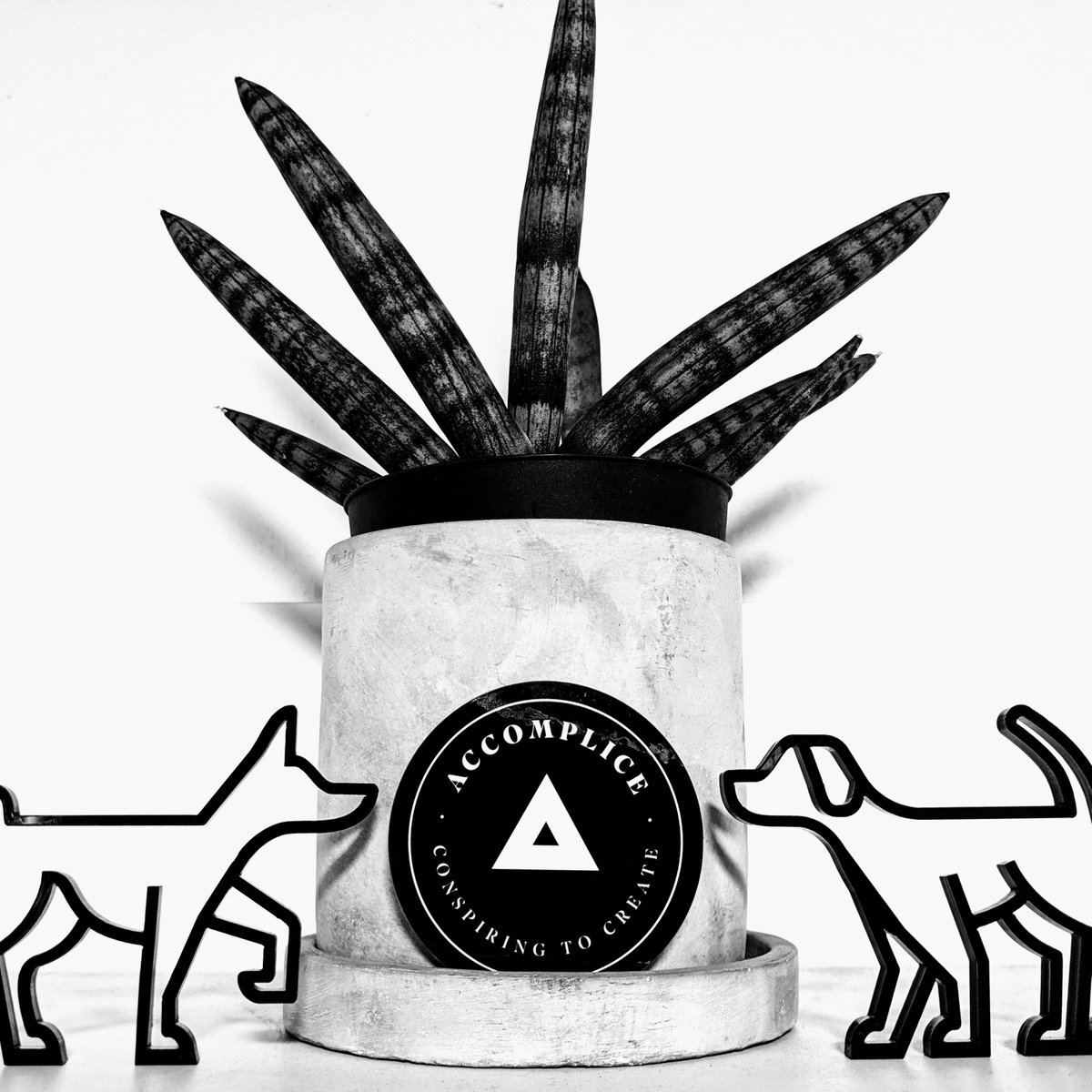 You’ll find us where creation, collaboration, and growth unite. #conspiringtocreate #inspiration #design #strategy #ux #ui #experiences #experiential #development #emergingtech #creativetechnology #consumerexperience #marketing #atx #tech