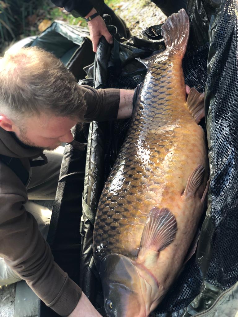 CarpCommunityUK's tweet photo. Peter Storey @ Abbey Lakes 71lb well done laa its a pleasure to tweet this https://t.co/2YLjb39aqm