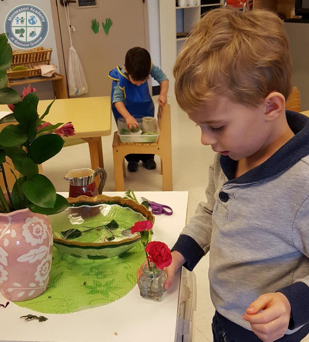 A goal of the Montessori teacher is that as the child grows, the teacher’s importance diminishes.

#mabmontessori #montessoriquote #ashburnva #montessoriashburn