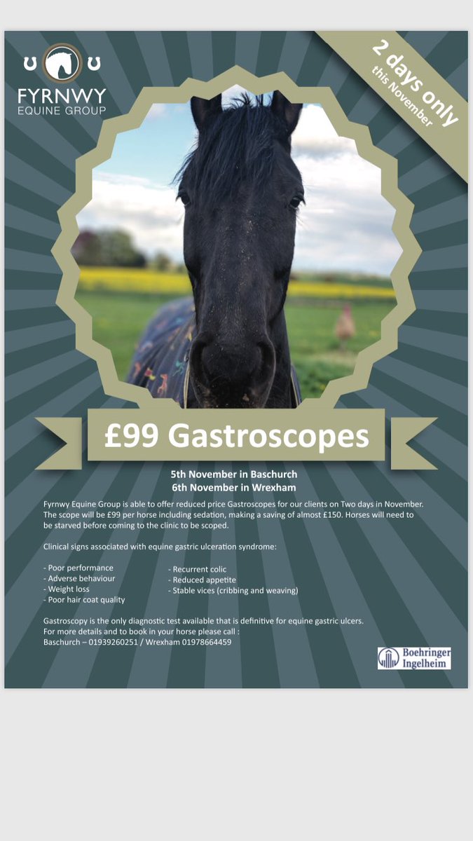 Is your horse behaving oddly? Not performing well? Not in as good condition as you’d like? Your horse may be suffering from gastric ulcers. For 2 days only we’re offering a reduced cost on scopes - just £99! Call the office for more info <a href="/Boehringer/">Boehringer Ingelheim</a> #keepingyourhorsehealthy