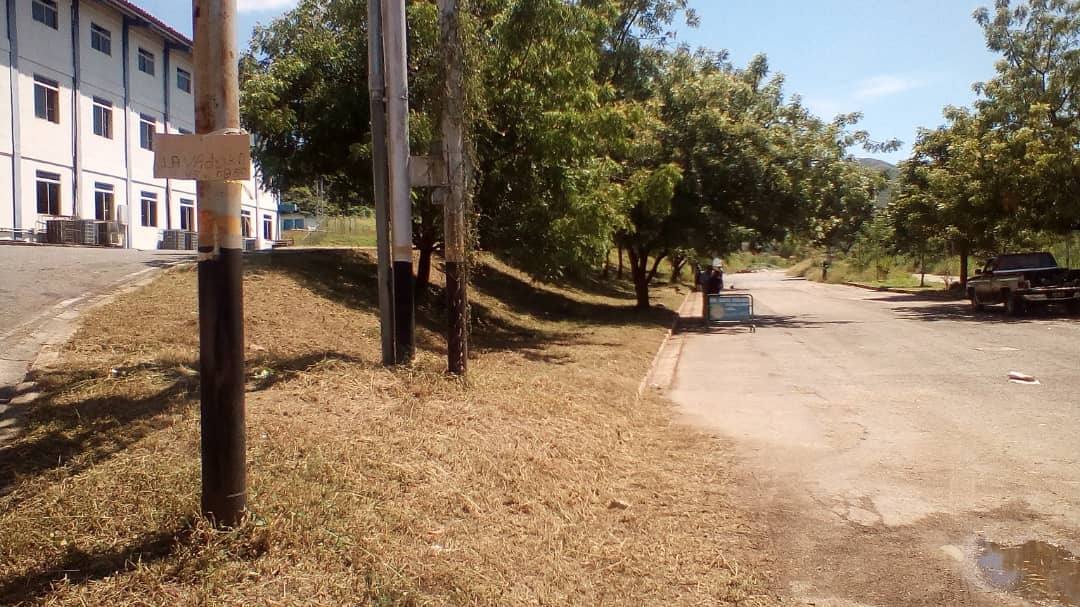 leonjura's tweet photo. Nuestras cuadrillas de Fumcosandi continúan desplegadas en el municipio con poda y desmalezamiento en #Polvero #Esmeralda y #Yuma #DonJulioCenteno https://t.co/Jg3aIpy67S