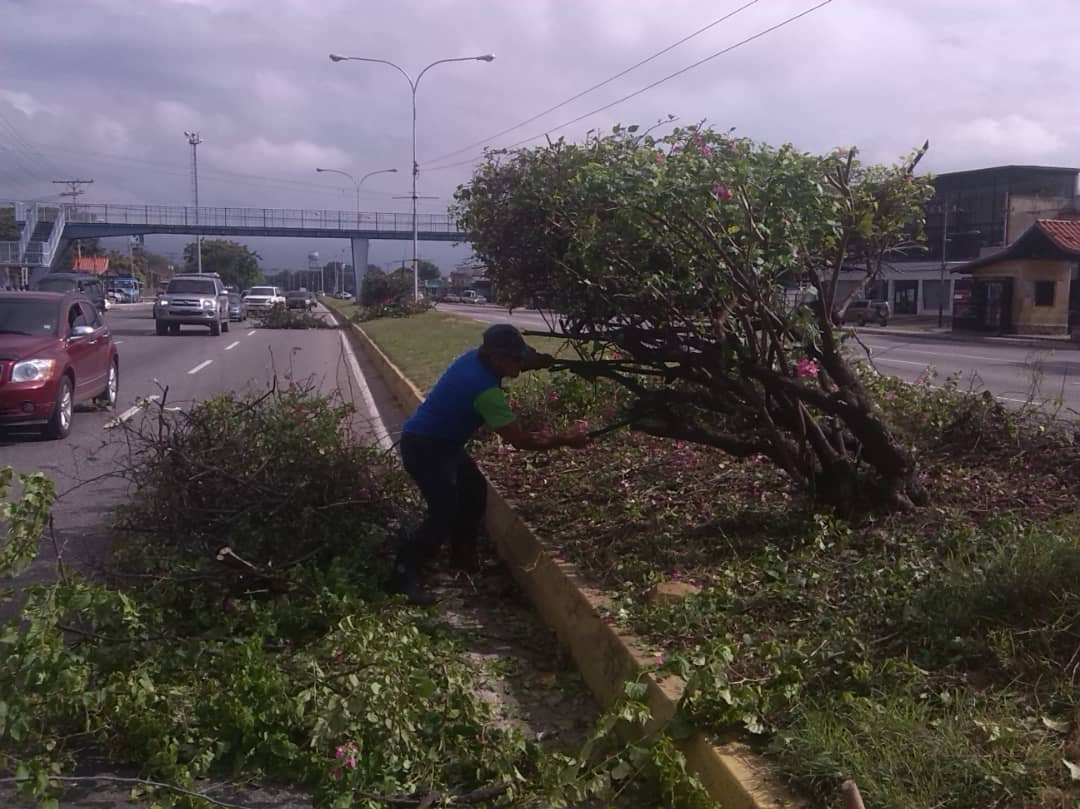 leonjura's tweet photo. Nuestras cuadrillas de Fumcosandi continúan desplegadas en el municipio con poda y desmalezamiento en #Polvero #Esmeralda y #Yuma #DonJulioCenteno https://t.co/Jg3aIpy67S