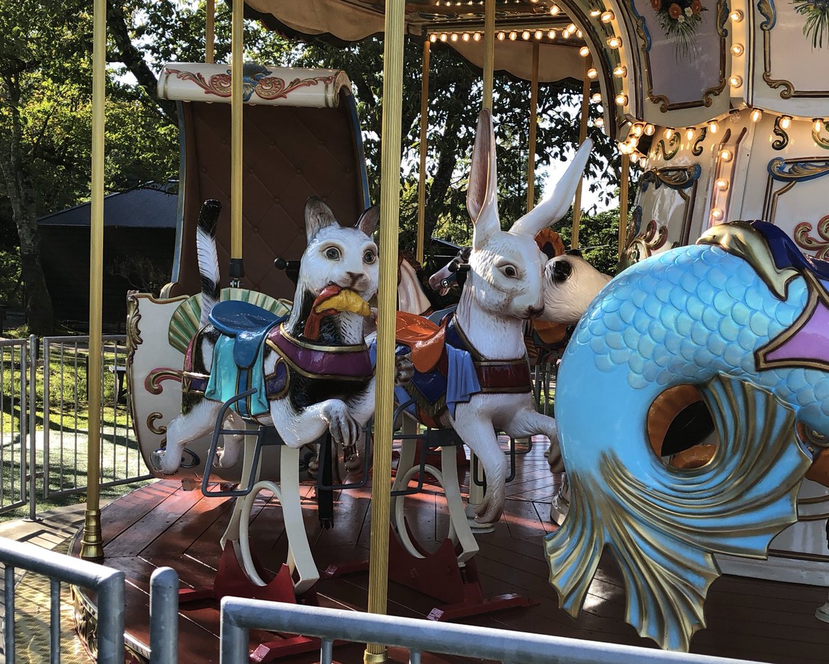リサメシアン ダイ大楽しみすぎる 天橋立ビューランドのメリーゴーランド 独特w怖いし不穏な感じ 息子が乗りたがりませんでしたw T Co Xfivksankx Twitter