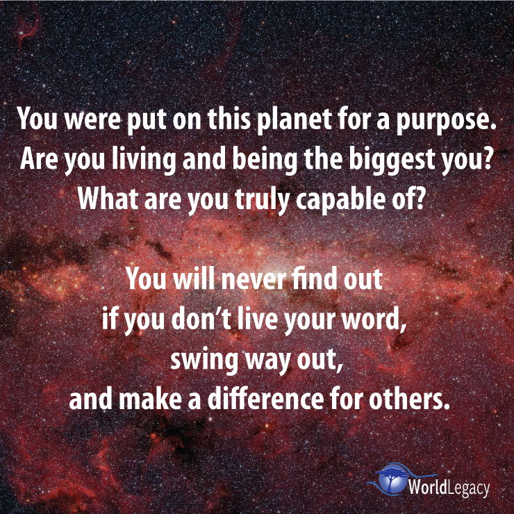 Lori Todd tweet media