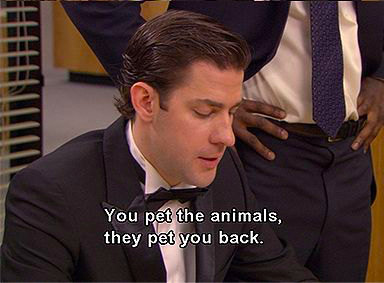 theofficetv's tweet photo. Not sure if this idea was terrifying, or genius... https://t.co/eCkmBLShoy