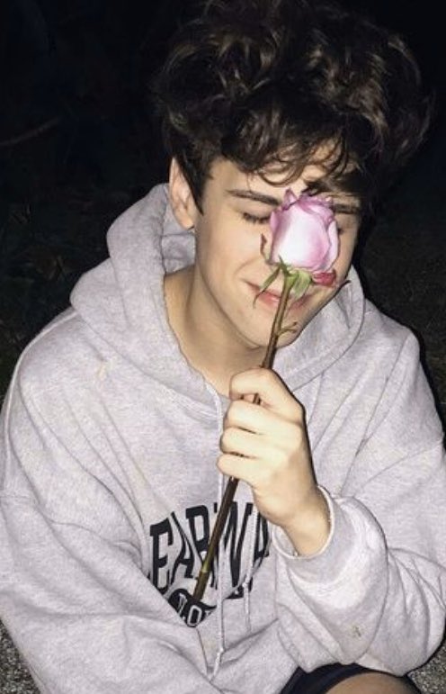 Asher___18's tweet photo. Someone wanna go on a picnic?? -F https://t.co/YzdnbNEsgJ