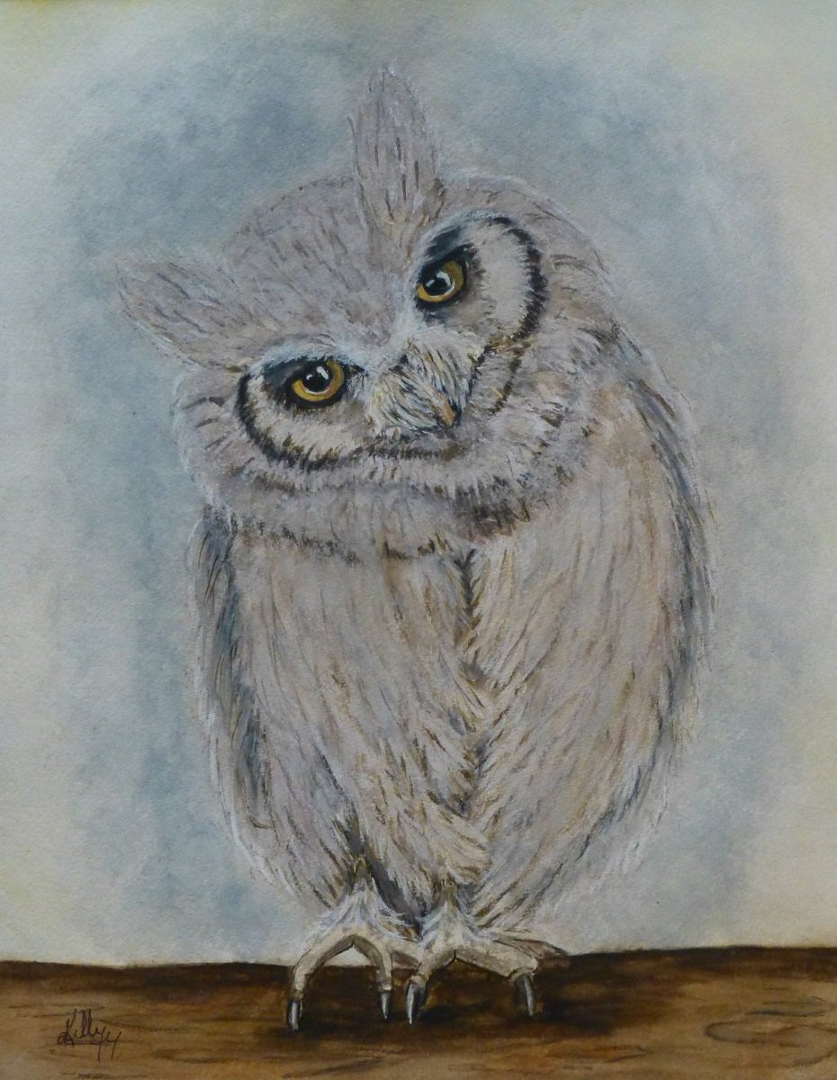 Scops Owl Prints
fineartamerica.com/featured/scops…
#owls #Scops #owlprints #owlpainting