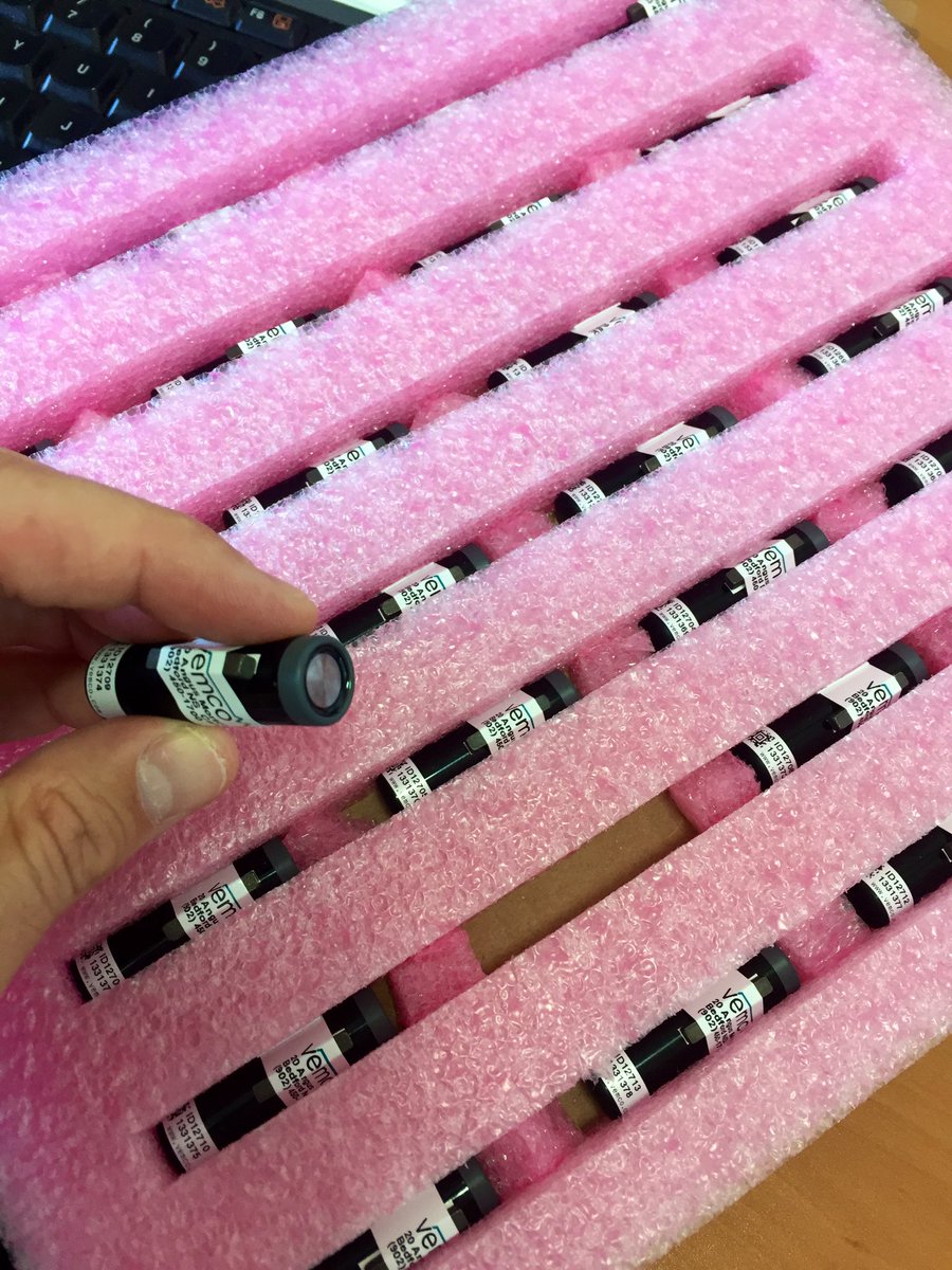 FisheriesIIM's tweet image. A lot of field work to be done in the next few weeks, looking for #fishtelemetry #skates and #wrasses 
Project #TAC #pleamar #FEMP @FBiodiversidad @oapngob @Pepinfdzbouzas1 @IIM_CSIC @Fanequeiro @gmucientes 
#tagging @vemcoteam  @Nautilus_Oc