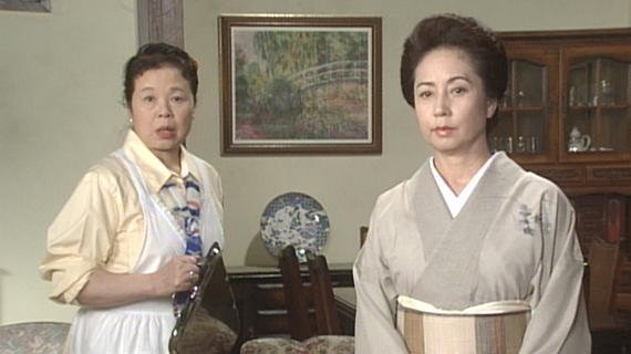 家政婦は見た！２０巻セット　市原悦子　レンタル品　新品ケース入り 家政婦は見た！20巻セット市原悦子レンタル品新品ケース入り