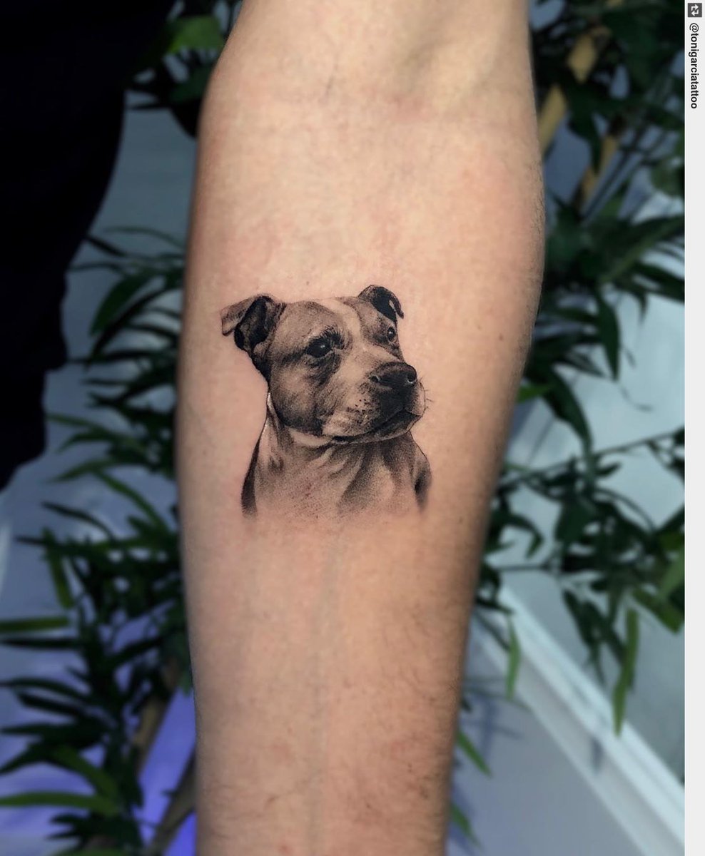 Microrealismo American Stanford• hecho en Productos #tattooartist #tattoo  #inked #ink #tattooart #tattoos #tattoodesign, image size:988x1200