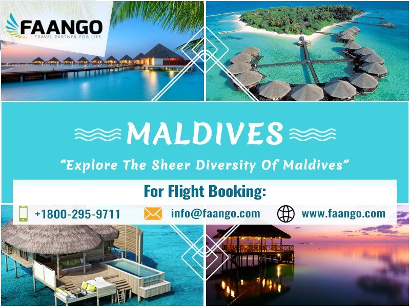 faango_official's tweet photo. Unrivaled luxury, stunning white-sand #beaches, and an amazing #underwater world make the #Maldives an obvious choice for a true #holiday of a #lifetime.
Visit: https://t.co/D7EnowJicV
Call: 1-800-295-9711
#faango #beach #visitmaldives #maldivesresorts #ocean #indianocean https://t.co/LARAvf1U5H