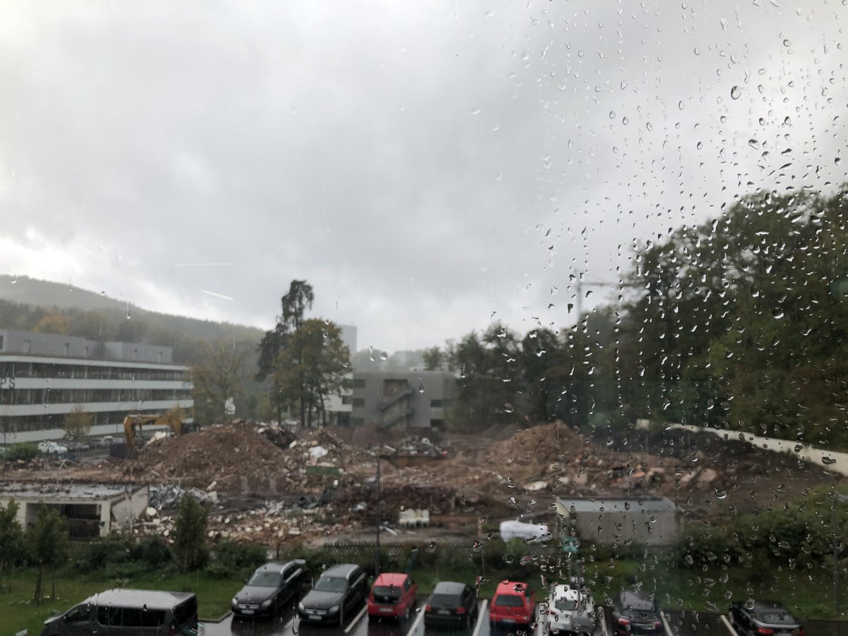 View from my office on a rainy day