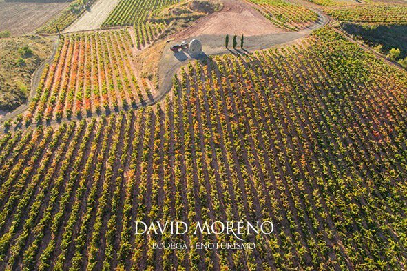 BDavidMoreno's tweet photo. Dias de vendimia en nuestros viñedos de la finca La Atalaya.
#BodegasDavidMoreno #Vendimia2019 #Tempranillo #viñedodealtura #larioja #badaran #harvest #grapes #vineyard https://t.co/MbXxgaHPGM