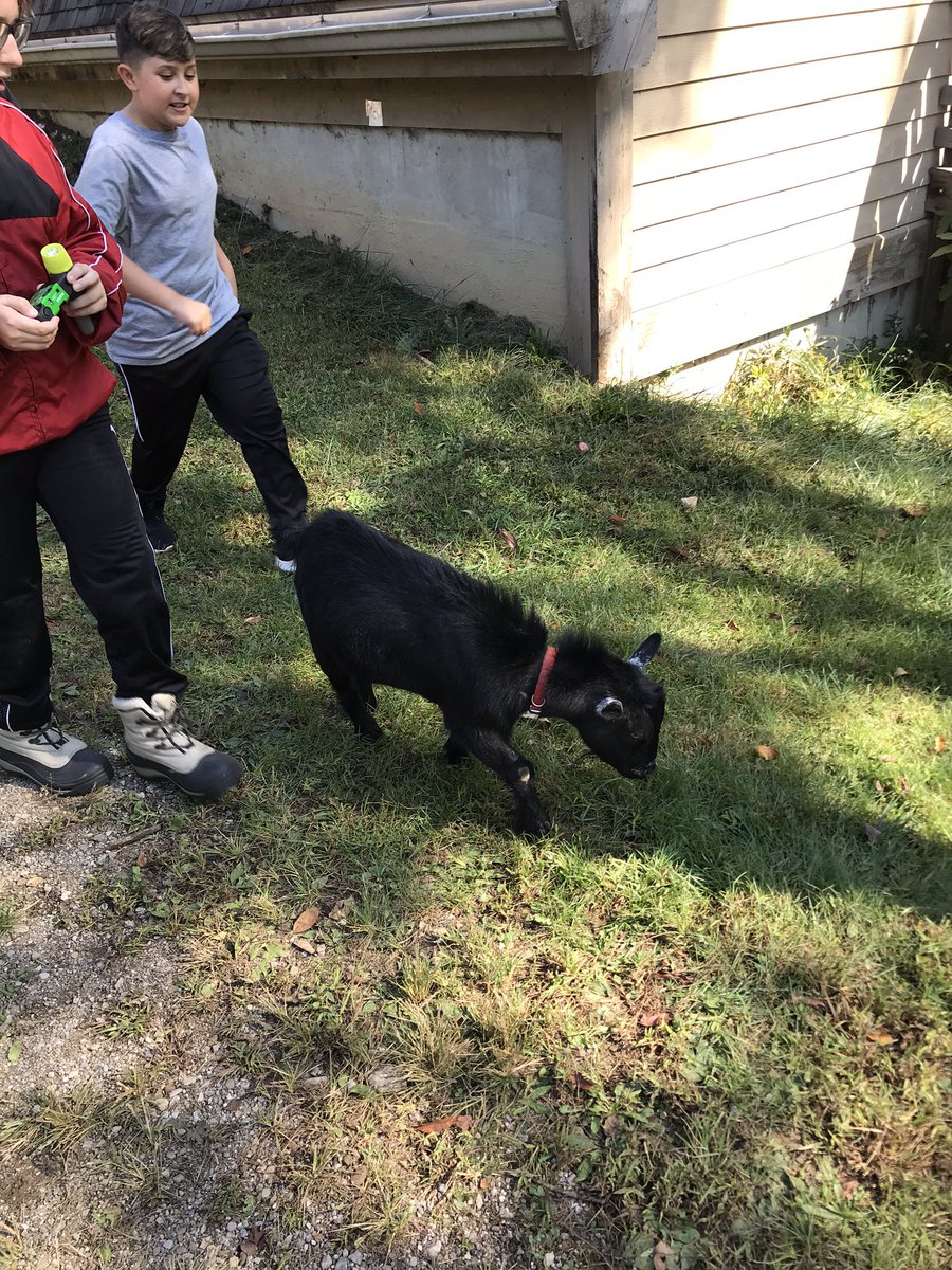 MrHicksFPCS's tweet photo. The kids named him “Chad”. He’s the true GOAT. #fpcsmos https://t.co/RHvWM3kdNx