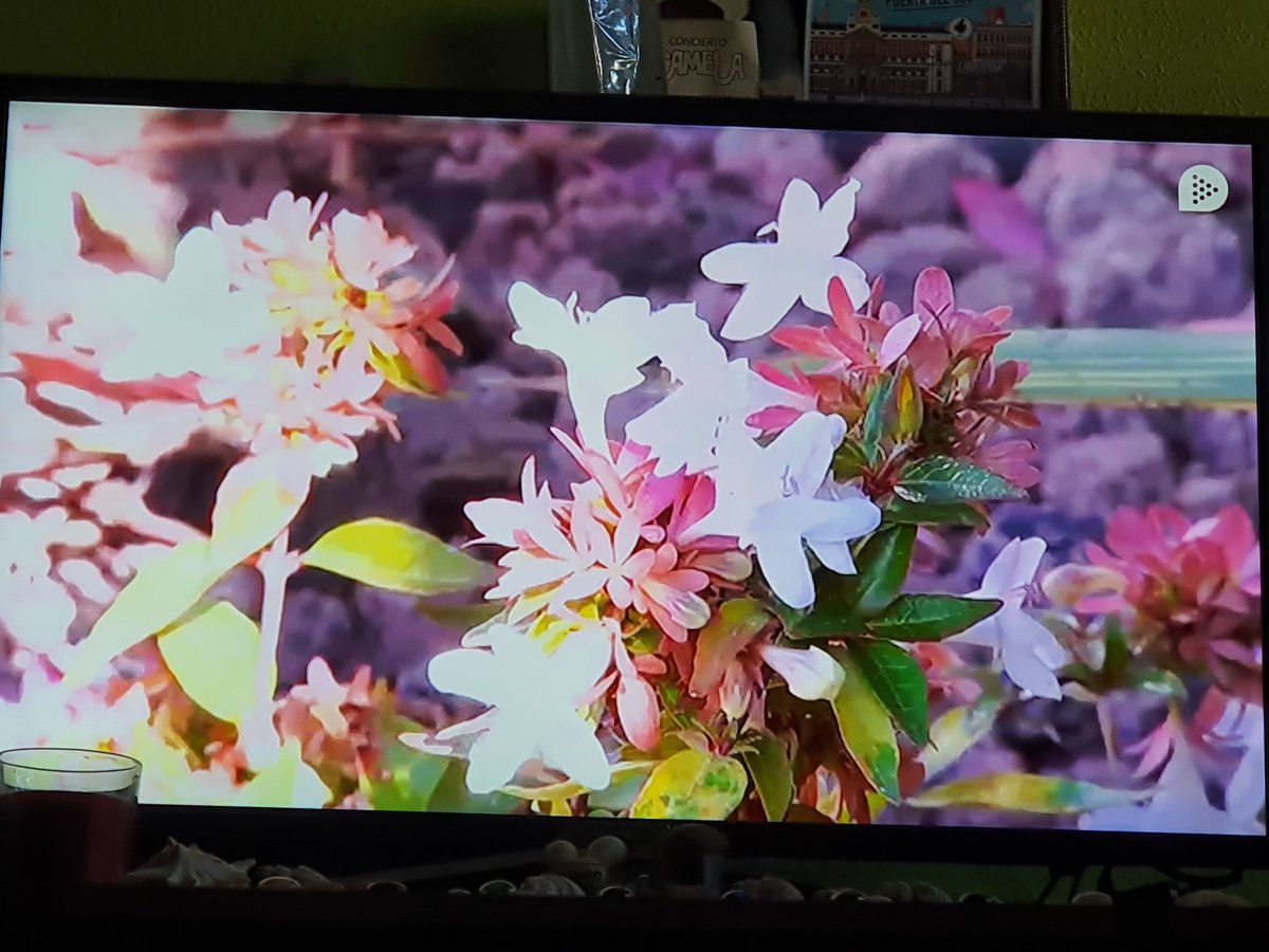 victorcastrovic's tweet image. #ghvip24horas alguien me puede explicar para que poneis el 24 horas si poneis esto tol puto rato @rubitaloqui  @FergarDavid