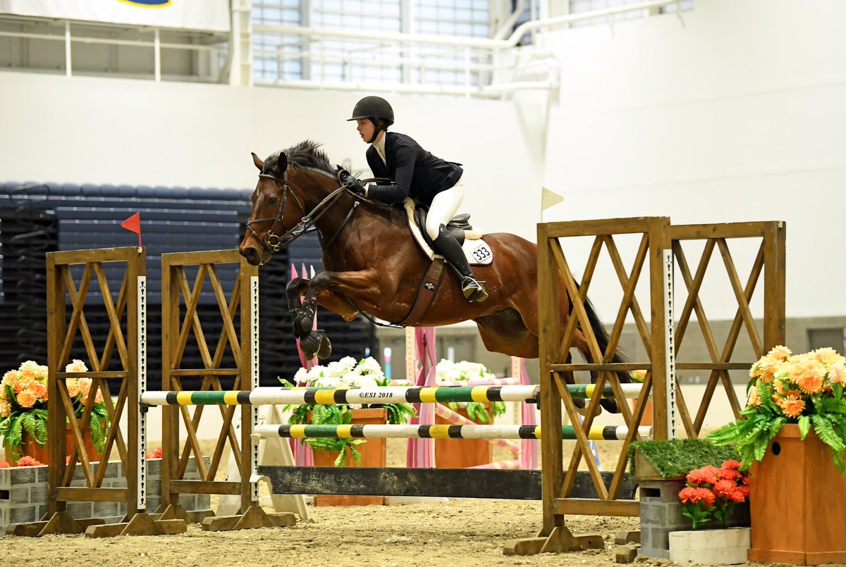 HITSHorseShows's tweet photo. Did you hear? We have added TWO divisions to the @Mrshll_Strlng Indoor Finals - the Syracuse Hunters (2’3”) &amp; Syracuse Jumpers (2’6”)! Both are open to all! We’ve also added a class to each of the already scheduled jumper divisions!🎉🐴🏆 https://t.co/DboLtkJPTj