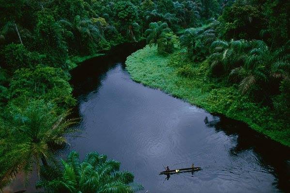 DrcViva's tweet photo. #RDC : sur et aux abords du parc national de la #salonga🇨🇩.
.
..
.@DrcViva @TourismeRDCongo @BunkuluYves #visiterdcongo #discover_rdcongo https://t.co/D4xuDQAda4