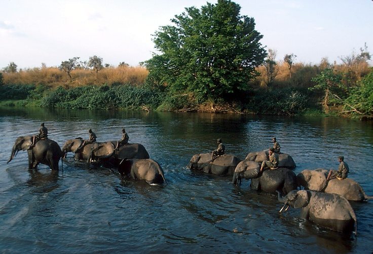 DrcViva's tweet photo. #RDC : sur et aux abords du parc national de la #salonga🇨🇩.
.
..
.@DrcViva @TourismeRDCongo @BunkuluYves #visiterdcongo #discover_rdcongo https://t.co/D4xuDQAda4