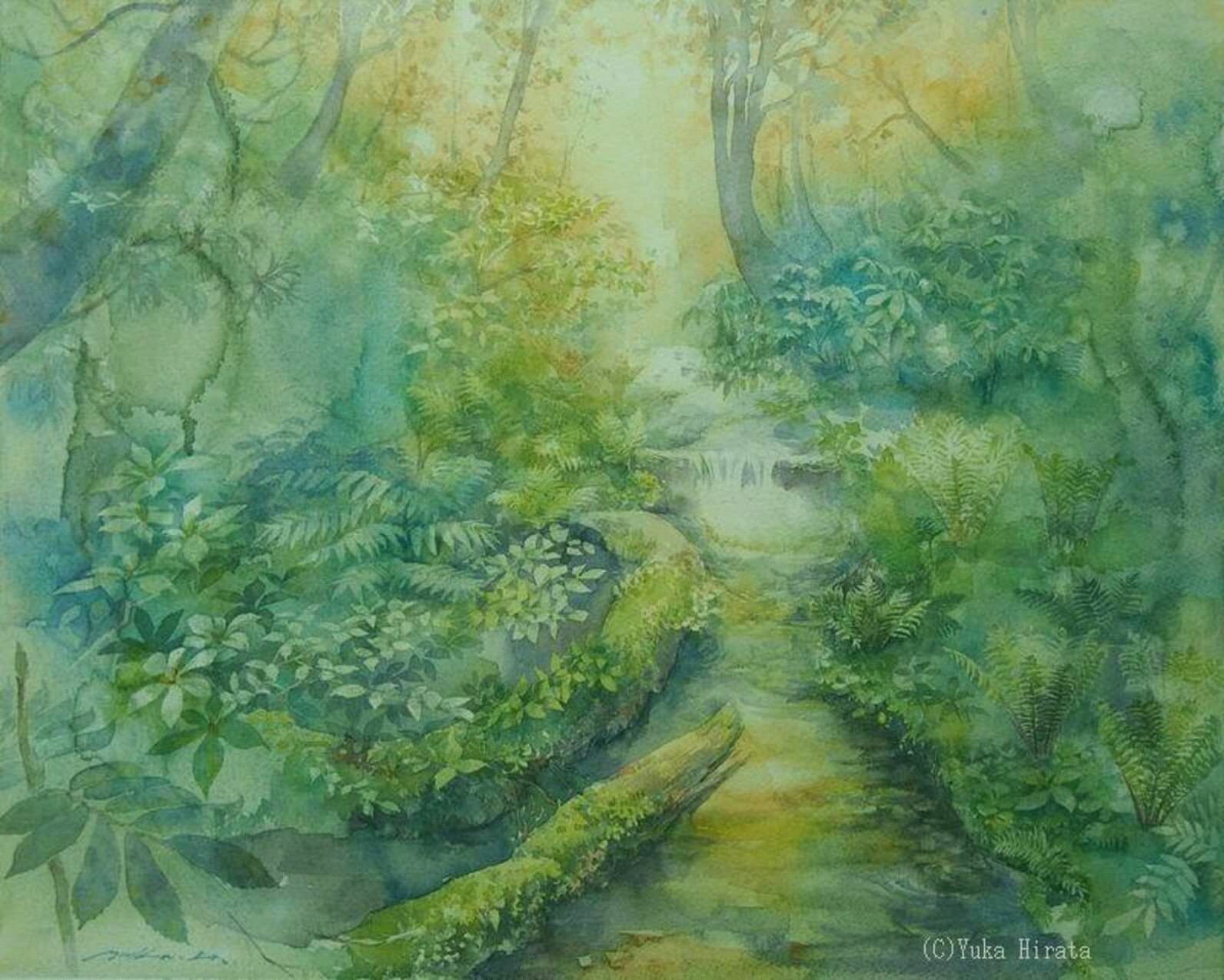 Yuka Hirata 流れの始まり 芦生の森 製作年18年 透明水彩 水彩画 森の絵 T Co Hvwb7sioac Twitter