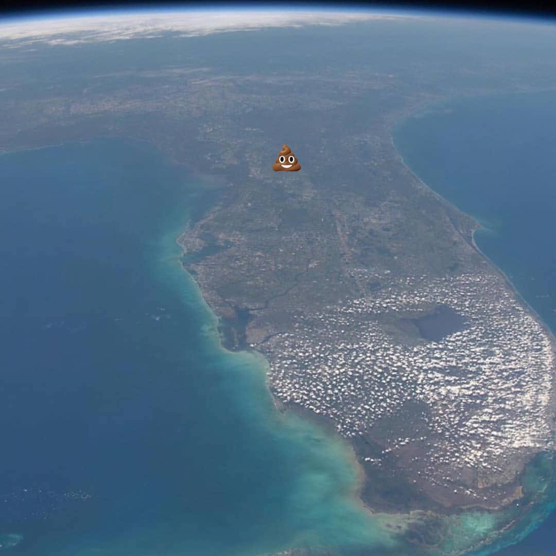AlabamaNo's tweet photo. Just in case you forgot where Gainesville is located.
Unfortunately, I've been there too many times - horrid place!
The ORIGINAL #AlabamaNo #NoOneLikesAlabama
#FloridaHateWeek
www. https://t.co/v88eyCV1q8 https://t.co/RR6TFlK5ie