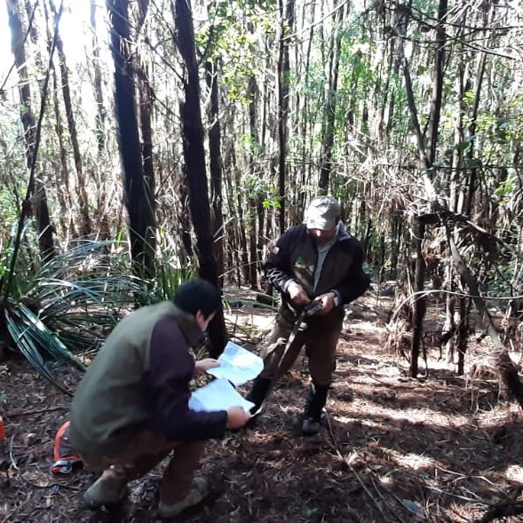 ✅[CONCEPCIÓN] En pleno proceso de instalación de cámaras trampa📸 se encuentran los guardaparques de la Reserva Nacional Nonguén🌳 para el monitoreo de fauna. Te recordamos que hasta el viernes 11 la unidad estará cerrada al acceso público debido a estos trabajos
