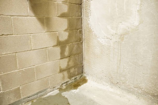 JDHomeInc's tweet photo. Did you know that 60% of homes, whether or not they are old or new, experience water problems in the basement? https://t.co/fG8NEyATfI