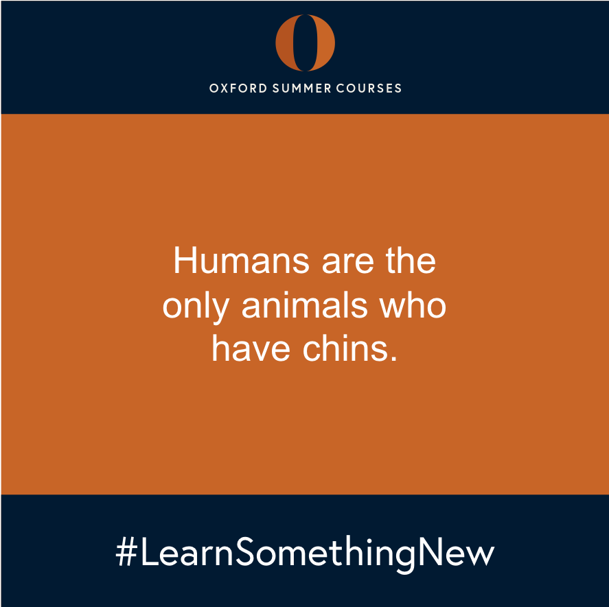 Atlas_S_C's tweet photo. Today we have another interesting fact about the human body! ๐
Did you know this one?
Help others to #LearnSomethingNew - share this fact today! โญ
#oxfordsummercourses #funfact #factoftheday #fotd #factsaboutthehumanbody #factsabouthumans #chins #humanbody #learning https://t.co/XUO2a2jBxw