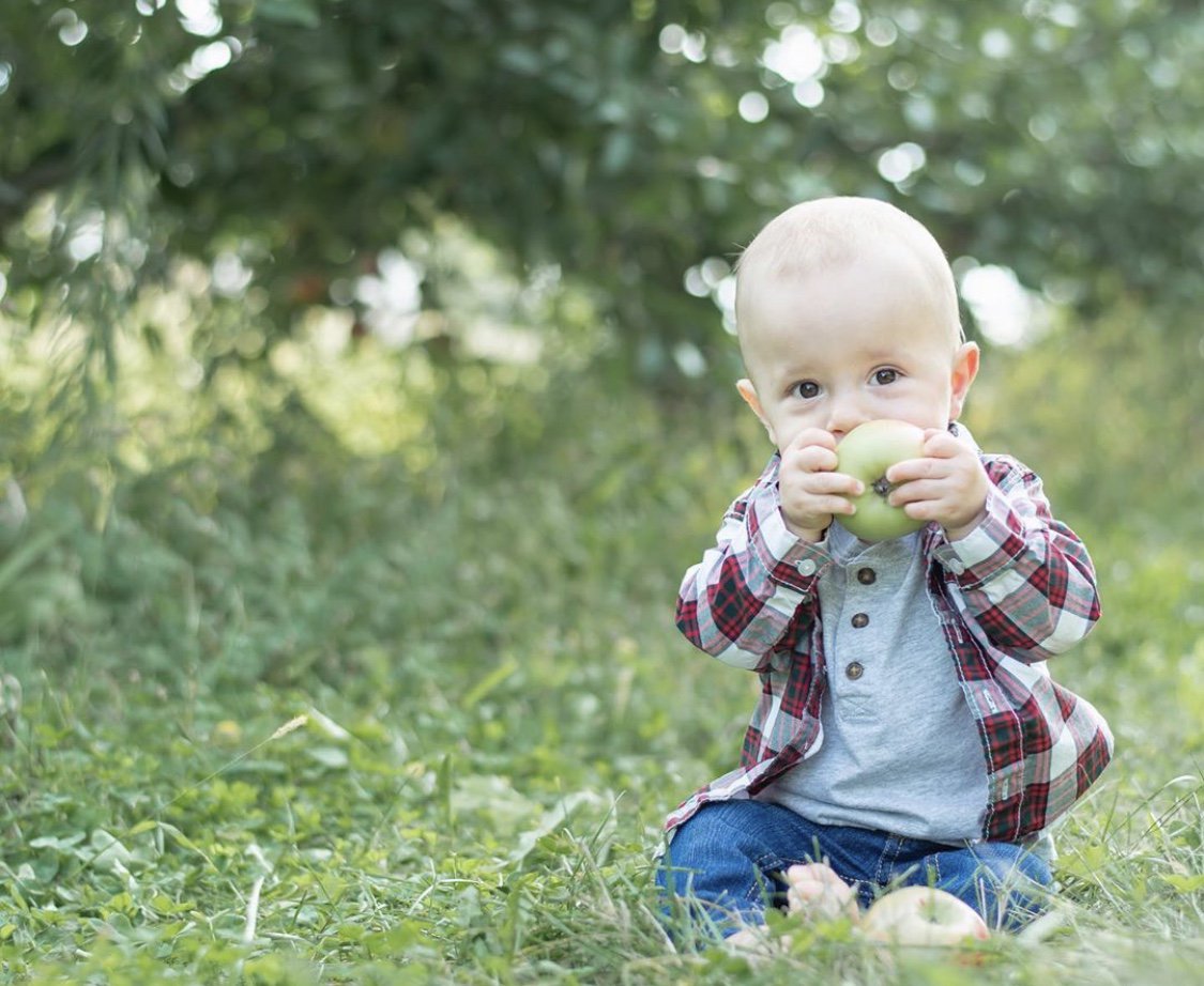 VisitLenawee's tweet photo. Lenawee County's apples have never looked so cute! Go picking this weekend at Kapnick Orchards! 😍🍏🍂

HUGE thanks to @tiffstewartphotography on Instagram for the ADORABLE photo! https://t.co/KnD963gREI