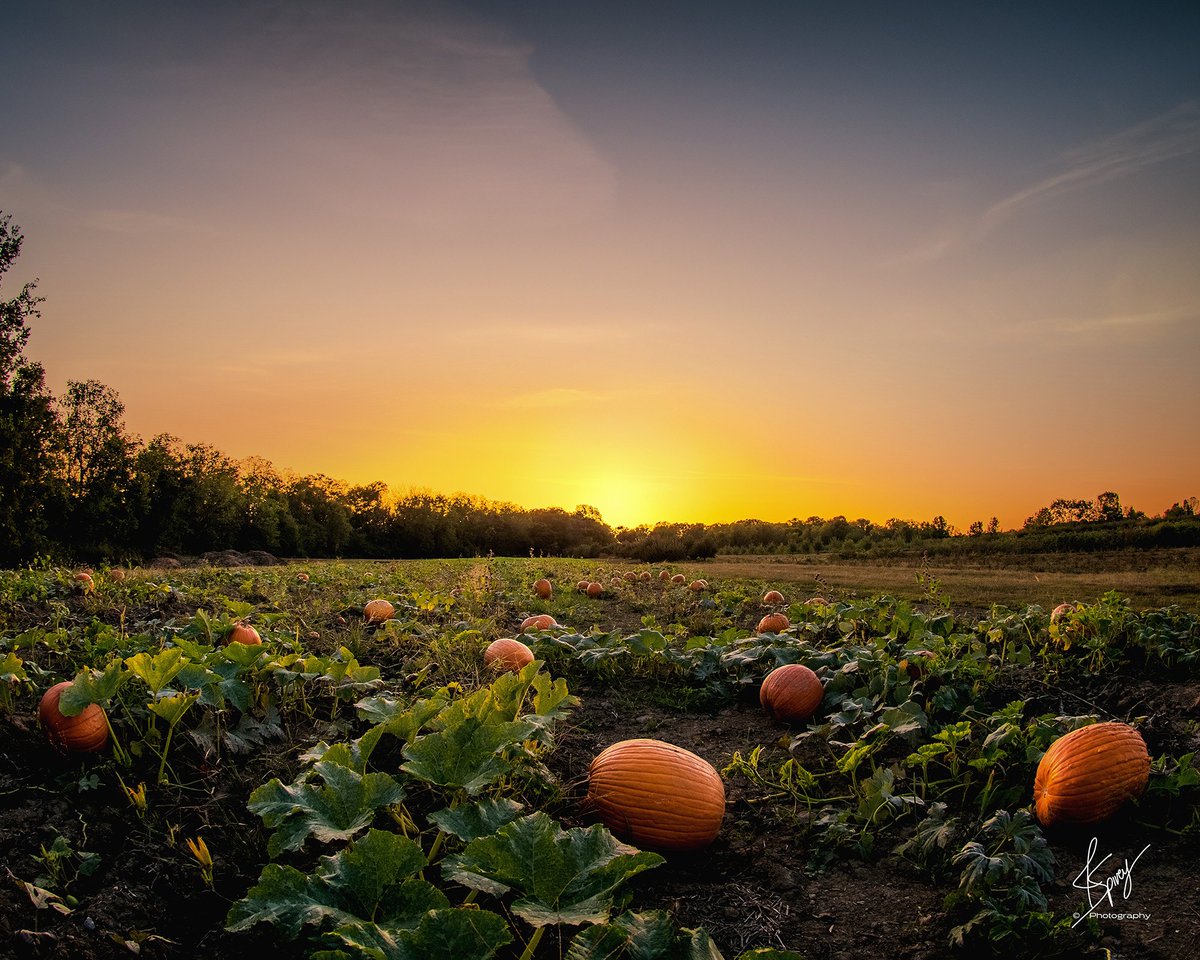 J Spivey Photography tweet media