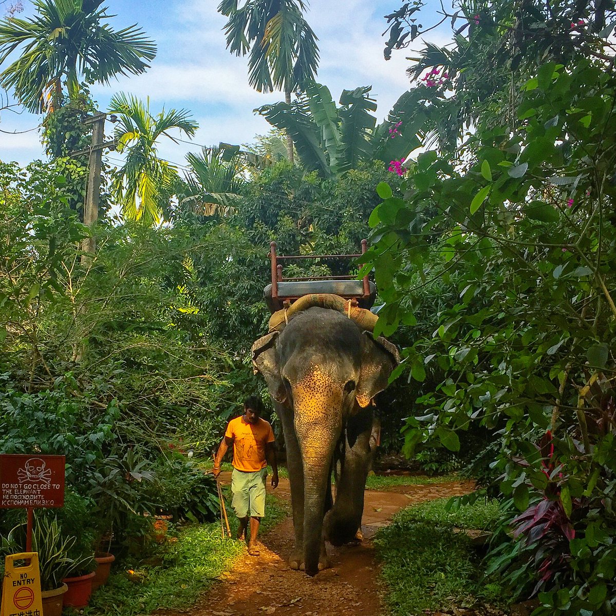 Trip to the spice farm in Goa!
.
.
#goa #goatourism #elephant #adventure #elephantsafari #incredibleindia #travelindia #travel #chalchalein #nature #naturephotography #trip #adventuretime #lonelyplanet #colorsofindia #travelphotography #chalchaleinlife #tripoto #instapic
