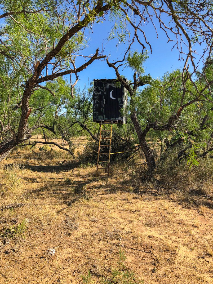 CandPTexas's tweet photo. NEW LISTING ALERT!!!
16.89 acres on North Llano River! 
Kimble County 
Abundant Wildlife
Inside Gated Community
Call today to schedule an appointment 979.703.1863
#RealEstate #sell #aMoveWorthMaking #colemanandpatterson https://t.co/zvry5HiTgG