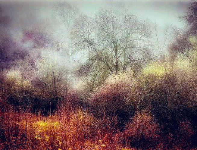 GoswellSean's tweet photo. The change from Autumn to Winter is a beautiful thing.
2017. https://t.co/pvoaUM1FeL