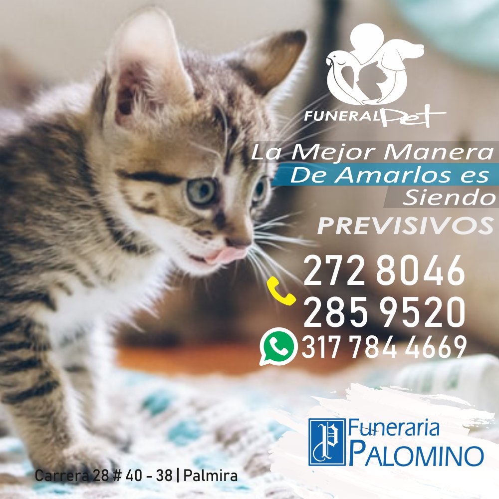 funpalomino's tweet photo. Amalos siendo previsivos... Pregúntanos como y dale la mejor despedida. Info 2728046-2859520 WSP 3177844669
.
#FunerariaPalomino #mascotas #pets #Palmira #Porpalmiravalelapena #palmiravalle #palmirave #palmiravé #palmiravende #palmiravalledelcauca #palmiravalledelcaucacolombia https://t.co/mPBNTRN3Vc